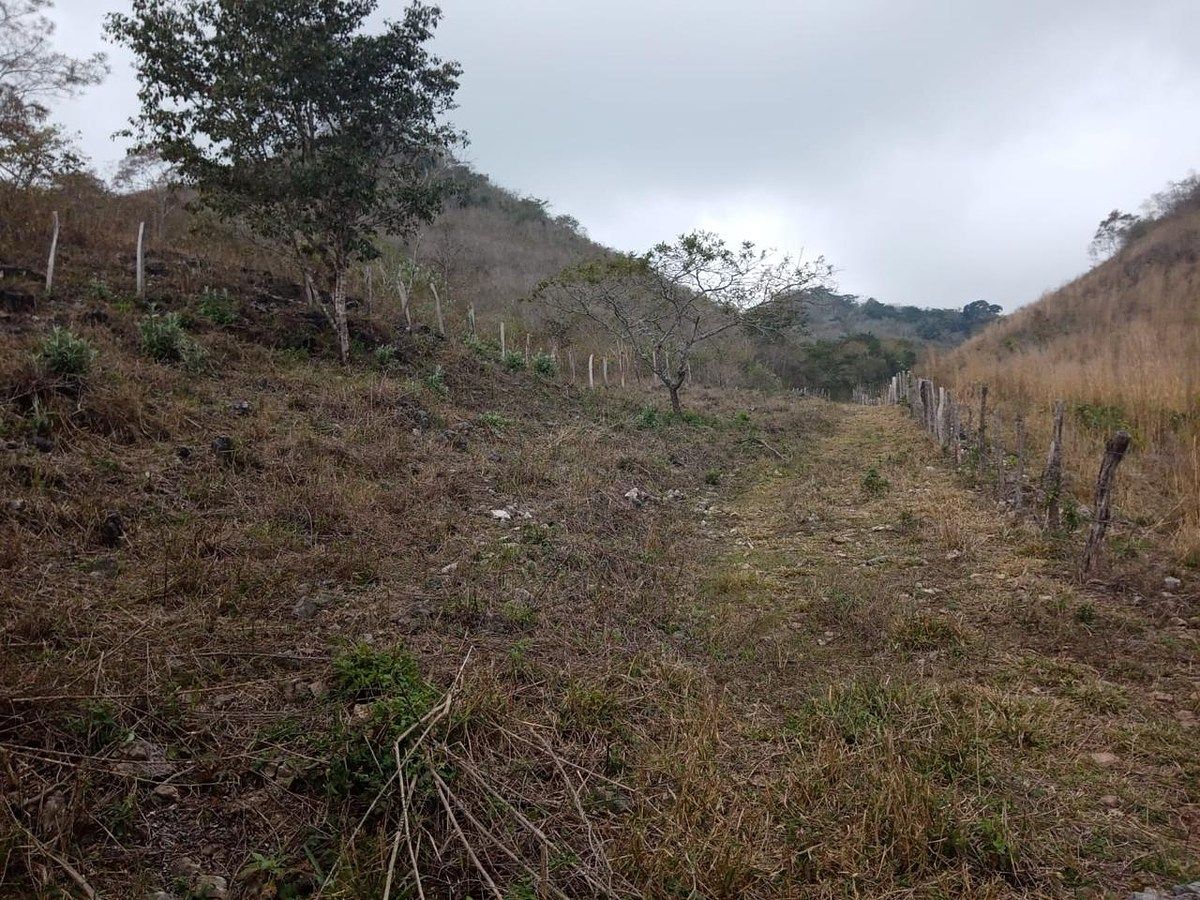 RANCHO DE 105 HAS, EN OCOZOCUAUTLA, CHIAPAS - foto 1
