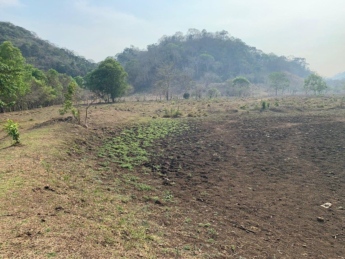 RANCHO DE 105 HAS, EN OCOZOCUAUTLA, CHIAPAS - foto 2