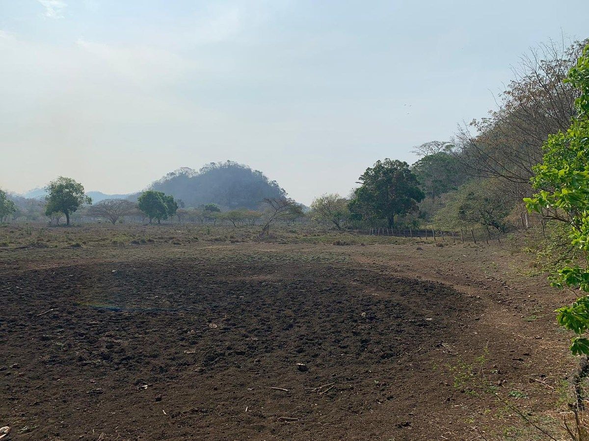 RANCHO DE 105 HAS, EN OCOZOCUAUTLA, CHIAPAS - foto 4