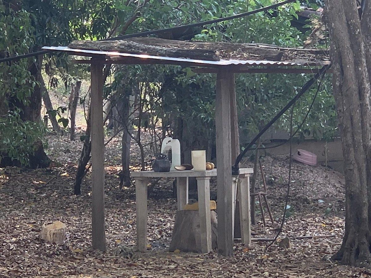 RANCHO DE 105 HAS, EN OCOZOCUAUTLA, CHIAPAS - foto 5