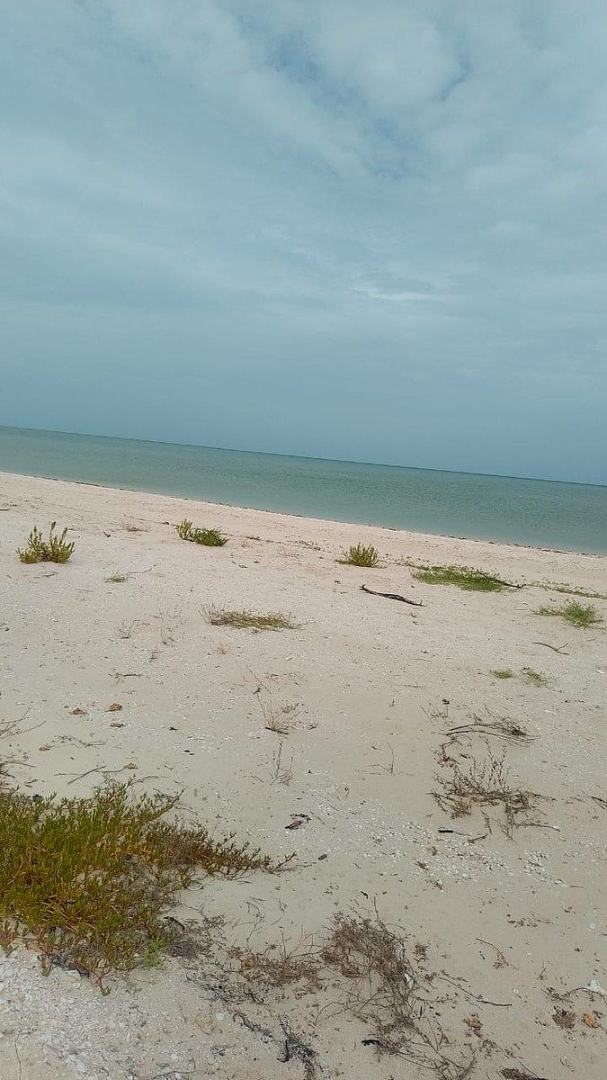 Terreno a orilla de Playa en Celestún, Yucatán - foto 1