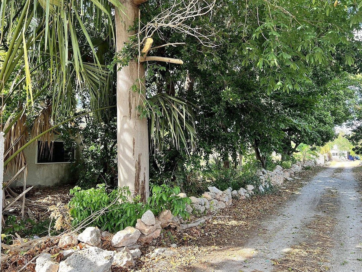 Land in Chuburná de Hidalgo, Mérida - foto 1