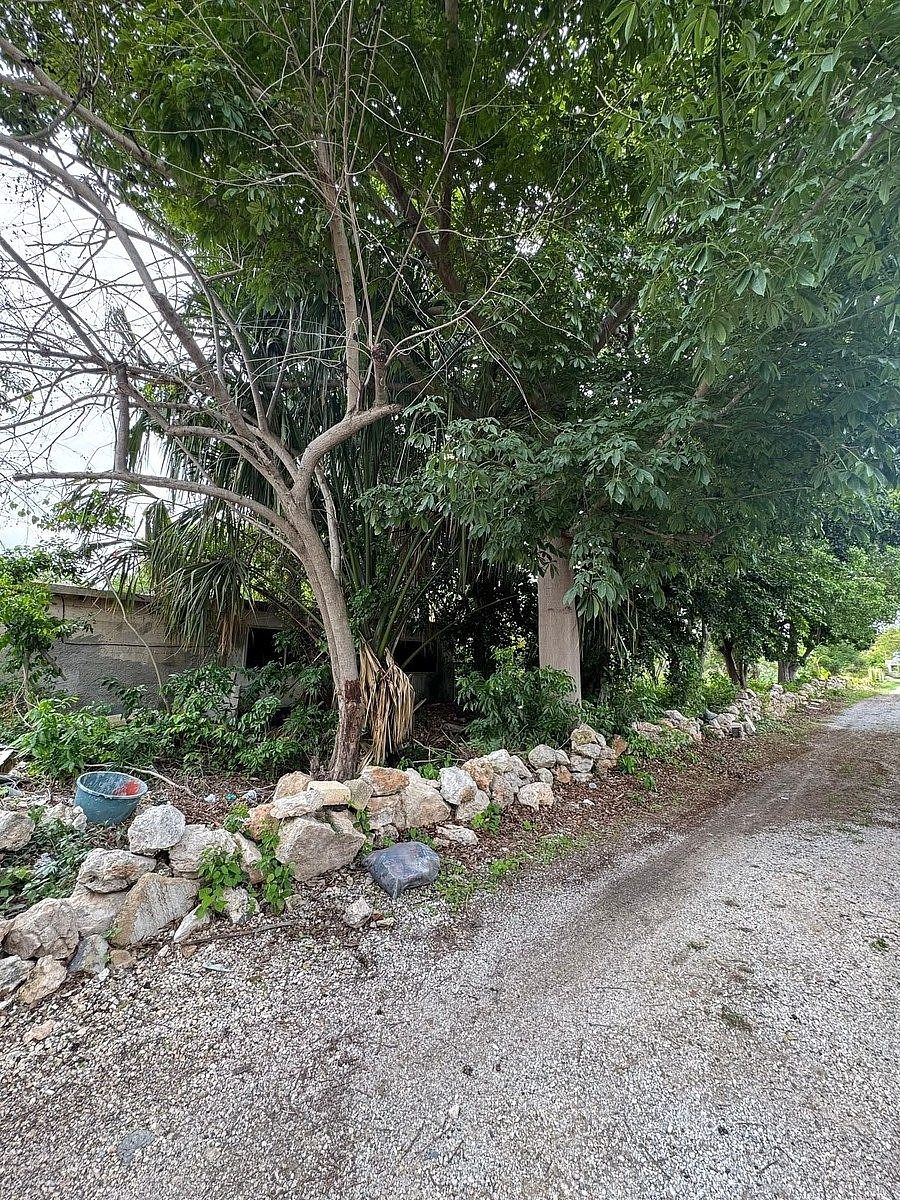 Land in Chuburná de Hidalgo, Mérida - foto 2