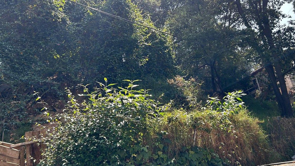 Terreno en Venta, Lomas de la Era, 1,743 m2, foto 1 de 8