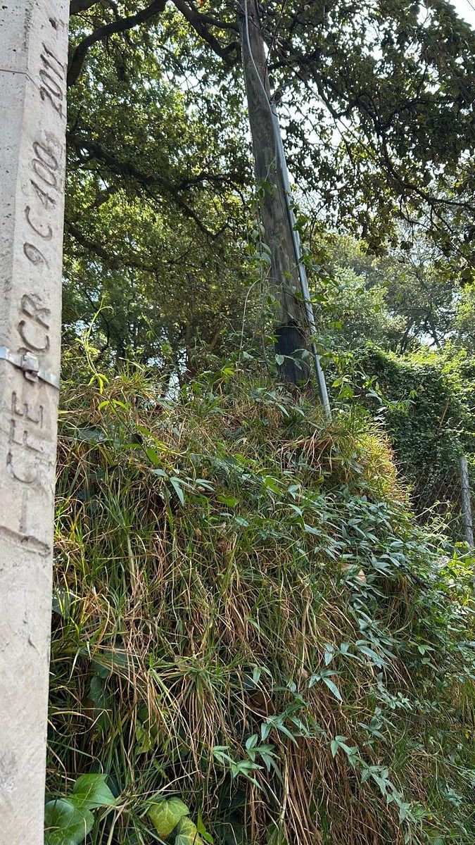 Terreno en Lomas de La Era, Álvaro Obregón, foto 3 de 8