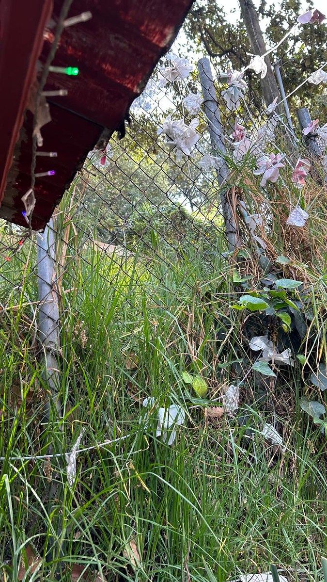 Terreno en Lomas de La Era, Álvaro Obregón, foto 4 de 8