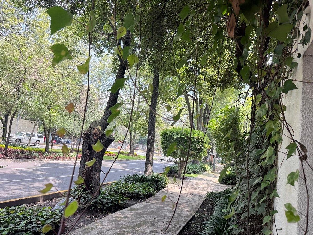 HOUSE FOR SALE TO REMODEL PASEO DE LA REFORMA - foto 4