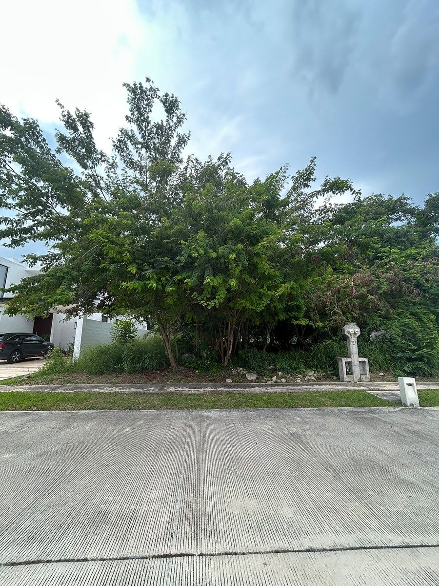 Land for sale in Privada Parque Natura - foto 1