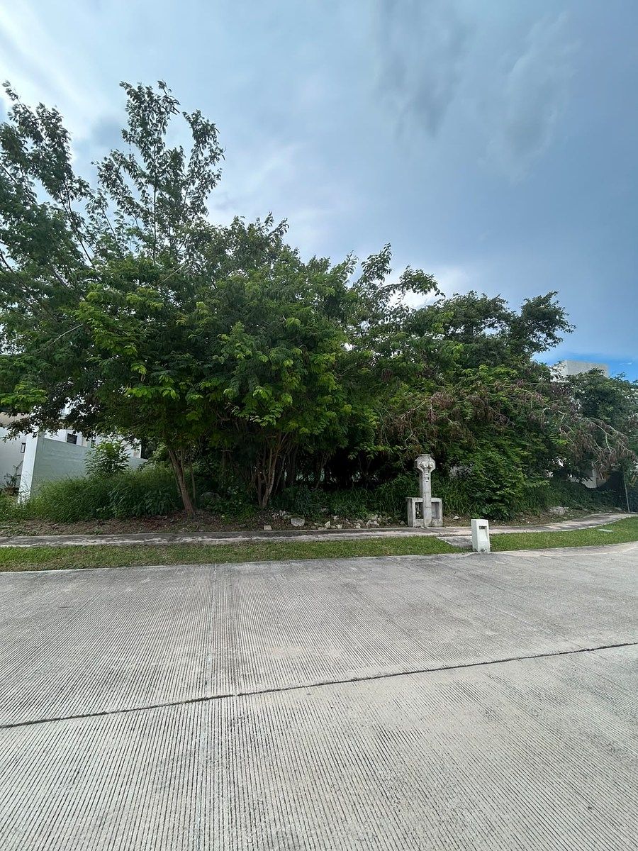 Land for sale in Privada Parque Natura - foto 2