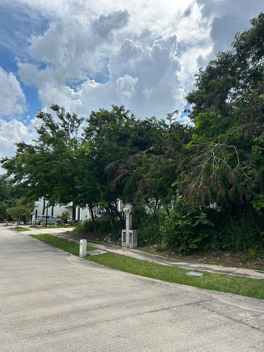 Land for sale in Privada Parque Natura - foto 5