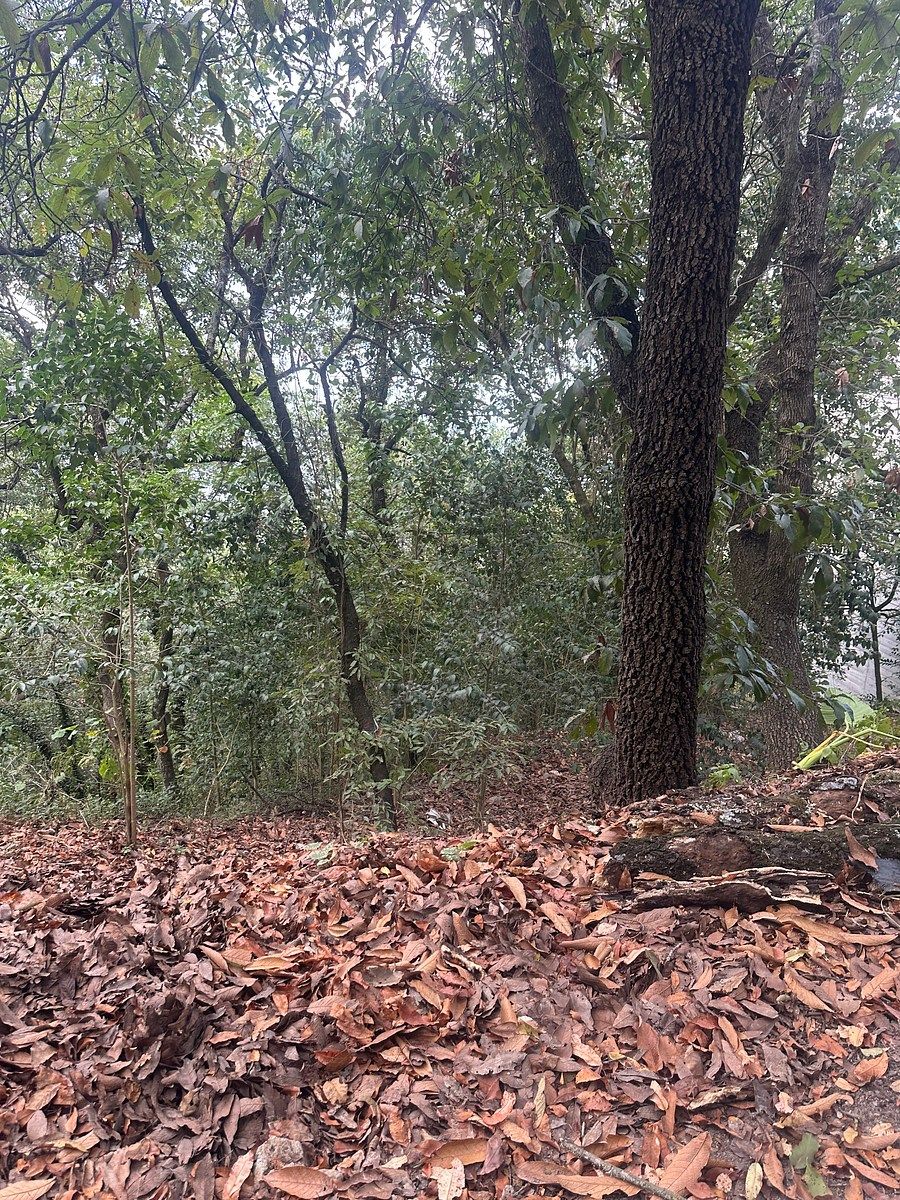 TERRENO À VENDA OLINALÁ, SAN PEDRO GARZA GARCÍA N.L., foto 1 de 8