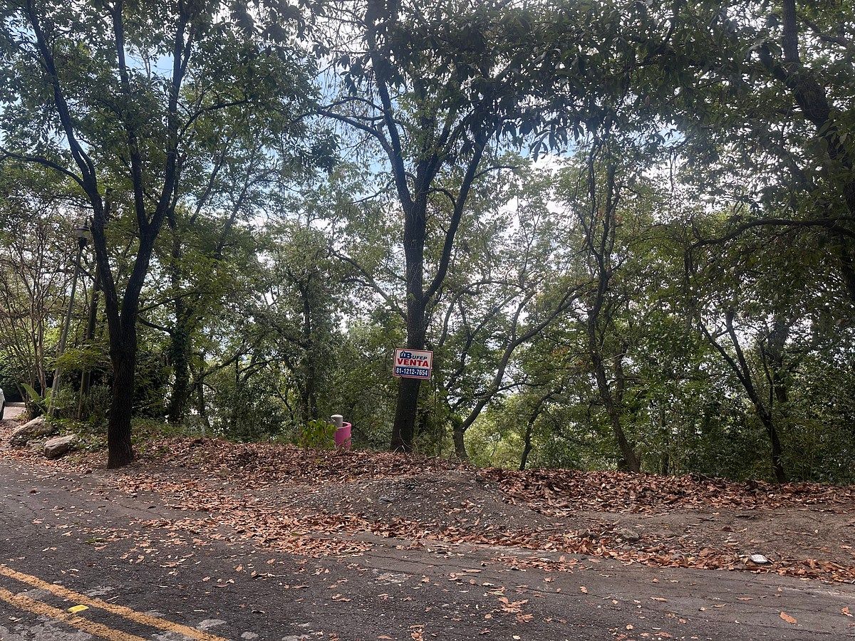 Lote em Olinalá, San Pedro Garza García, foto 4 de 8