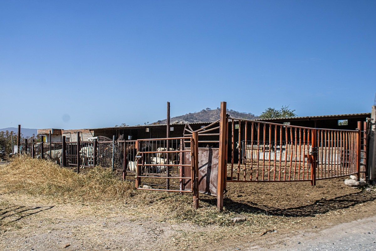 Terreno en Venta – San Agustín, Tlajomulco de Zúñiga - foto 3