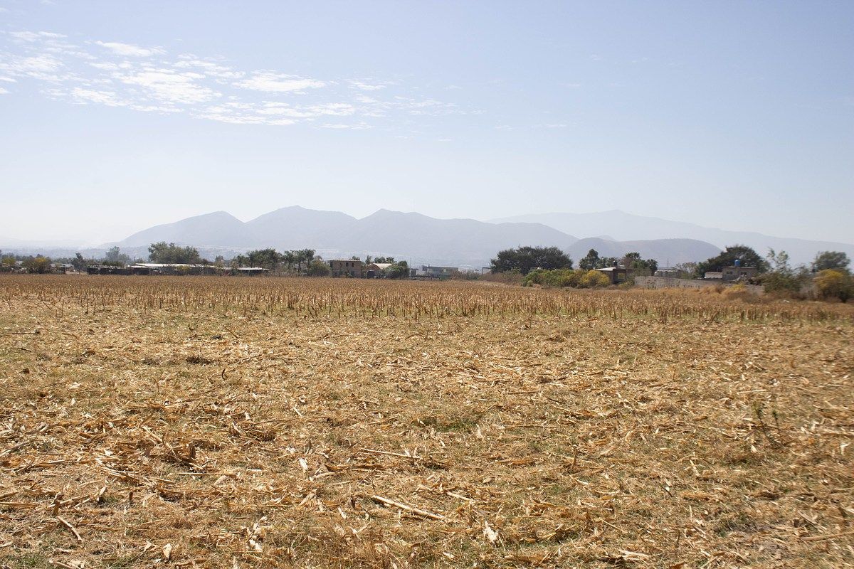 Terreno en Venta – San Agustín, Tlajomulco de Zúñiga - foto 4