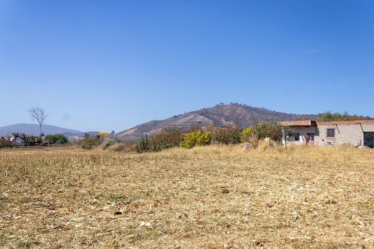 Terreno en Venta – San Agustín, Tlajomulco de Zúñiga - foto 5