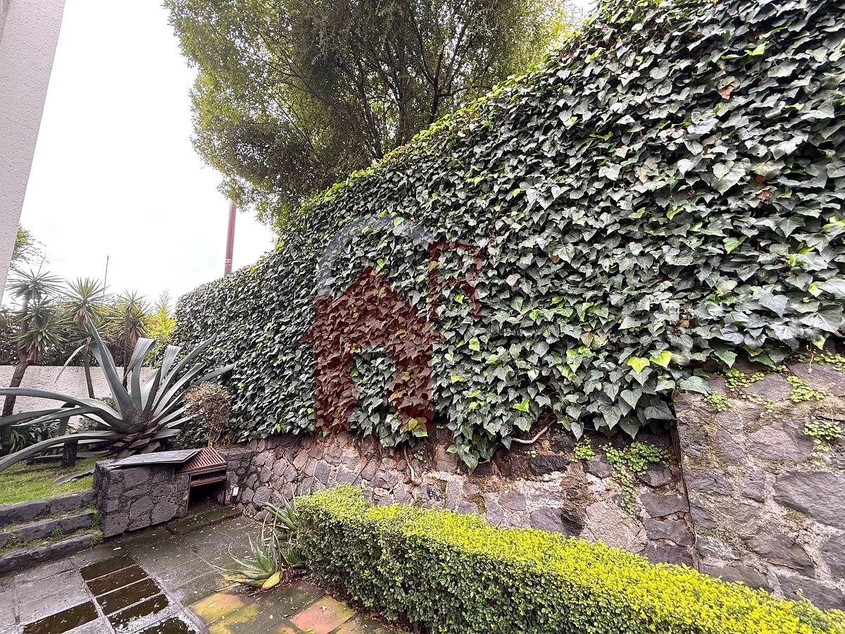 Casa en condominio en Barrio San Francisco, La Magdalena Contreras, foto 5 de 24