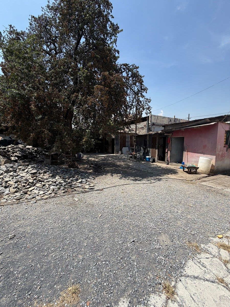 Lot in Monterrey Centro, Monterrey, photo 7 of 14