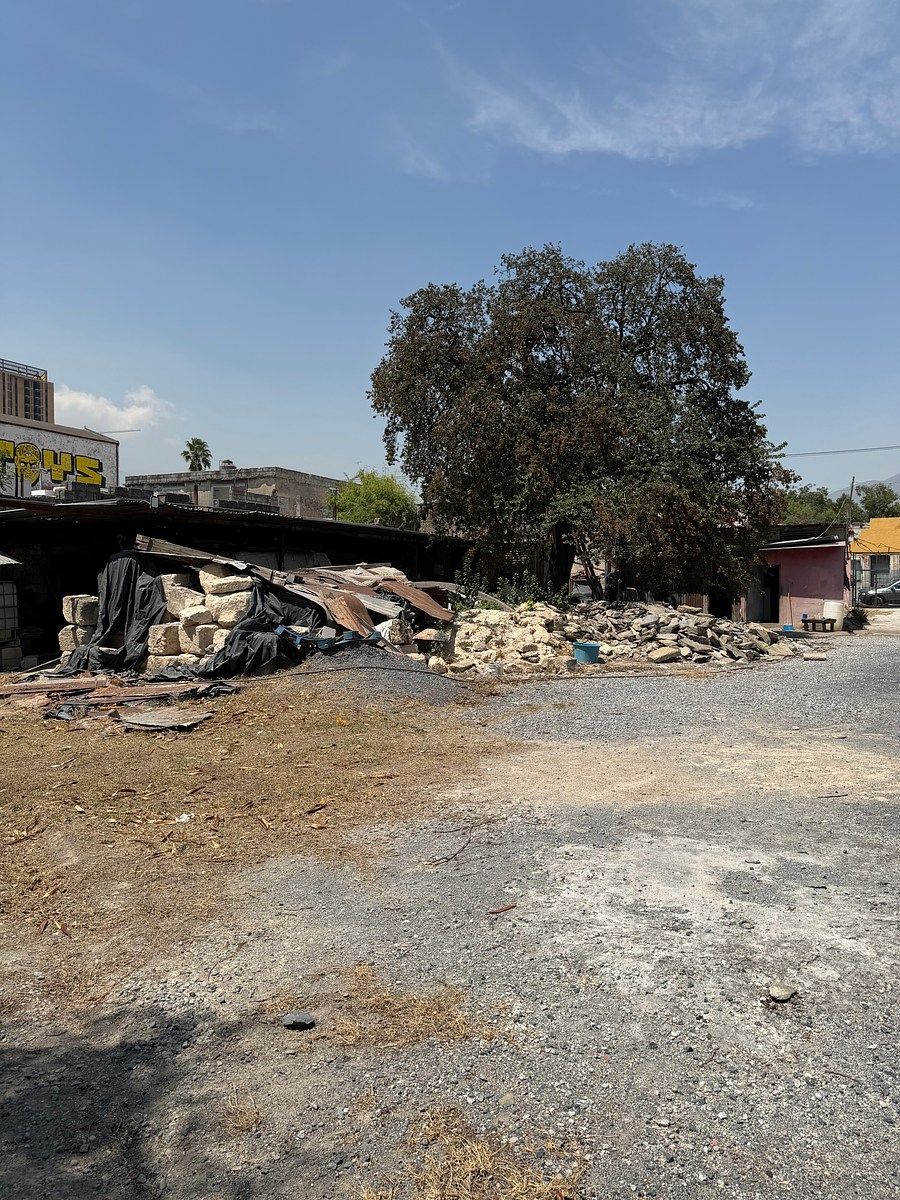 Lot in Monterrey Centro, Monterrey, photo 10 of 14