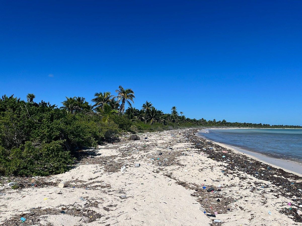 Terreno en Mahahual, Othón P. Blanco, foto 3 de 4