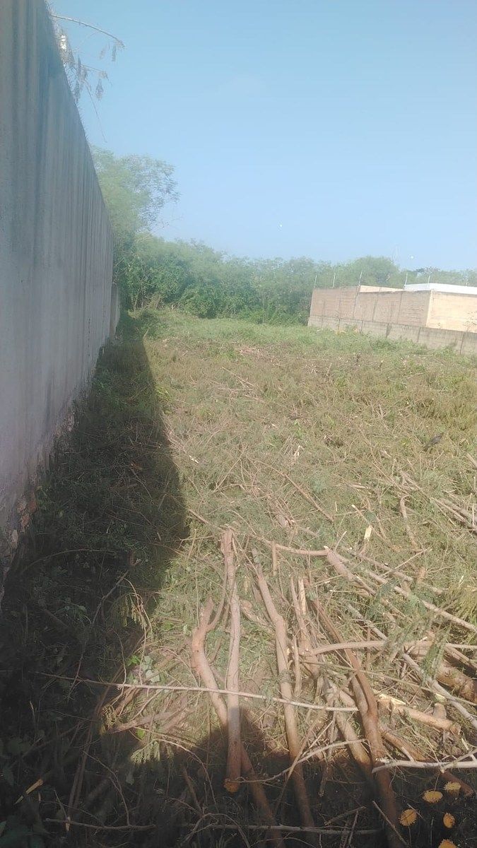 Terreno en Las Américas, Mérida, foto 6 de 6