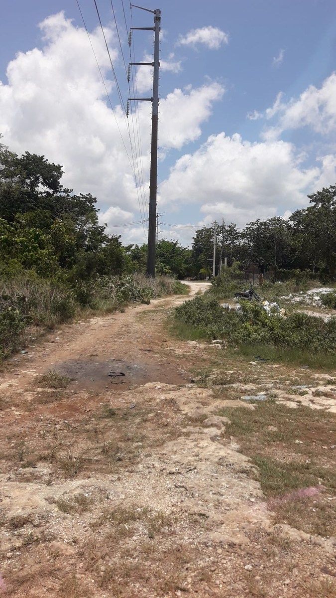 Terreno en Los Santos, Benito Juárez, foto 4 de 7