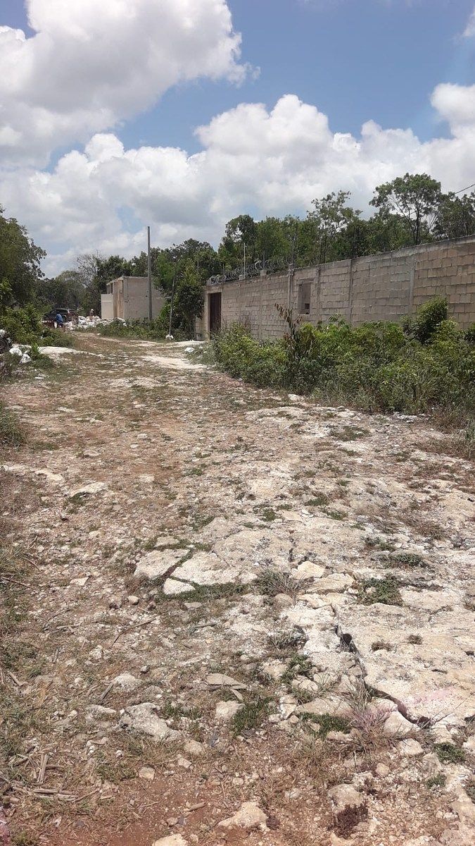 Terreno en Los Santos, Benito Juárez, foto 5 de 7