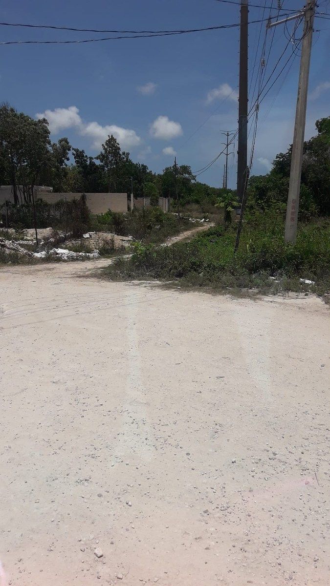 Terreno en Los Santos, Benito Juárez, foto 6 de 7