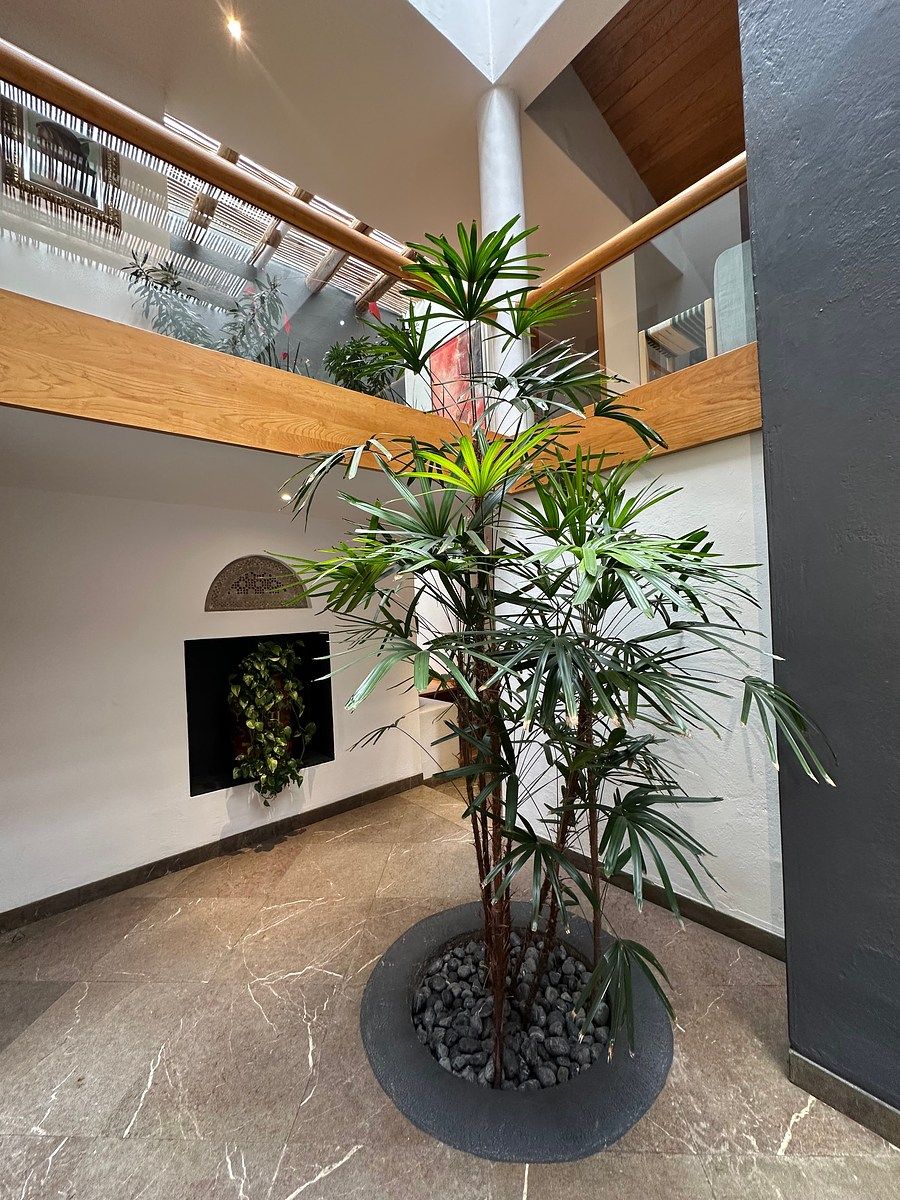 Casa en condominio en Las Águilas, Álvaro Obregón, foto 4 de 24