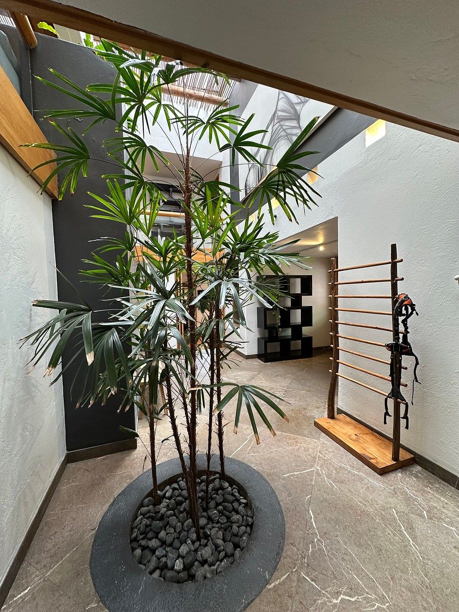 Casa en condominio en Las Águilas, Álvaro Obregón, foto 15 de 24