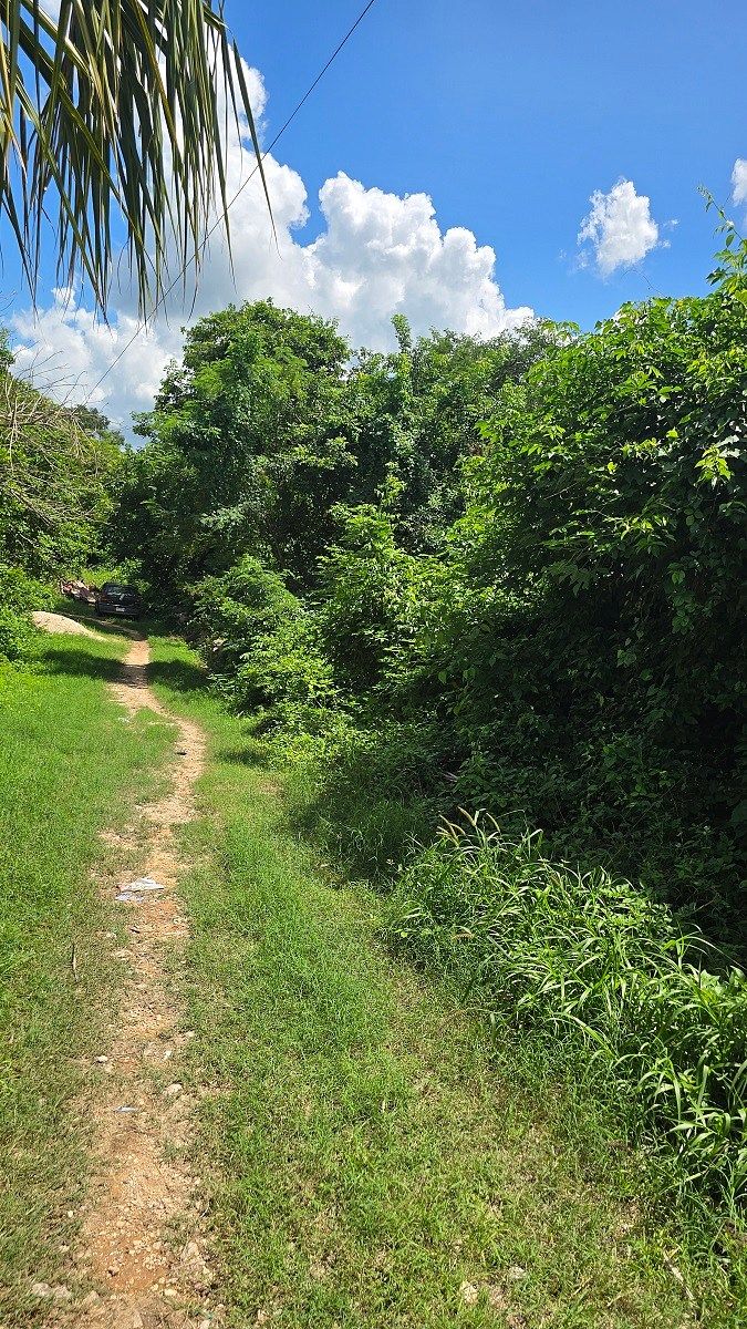 Large Plot of Land for Sale, Valladolid, "Magical Town" - foto 4