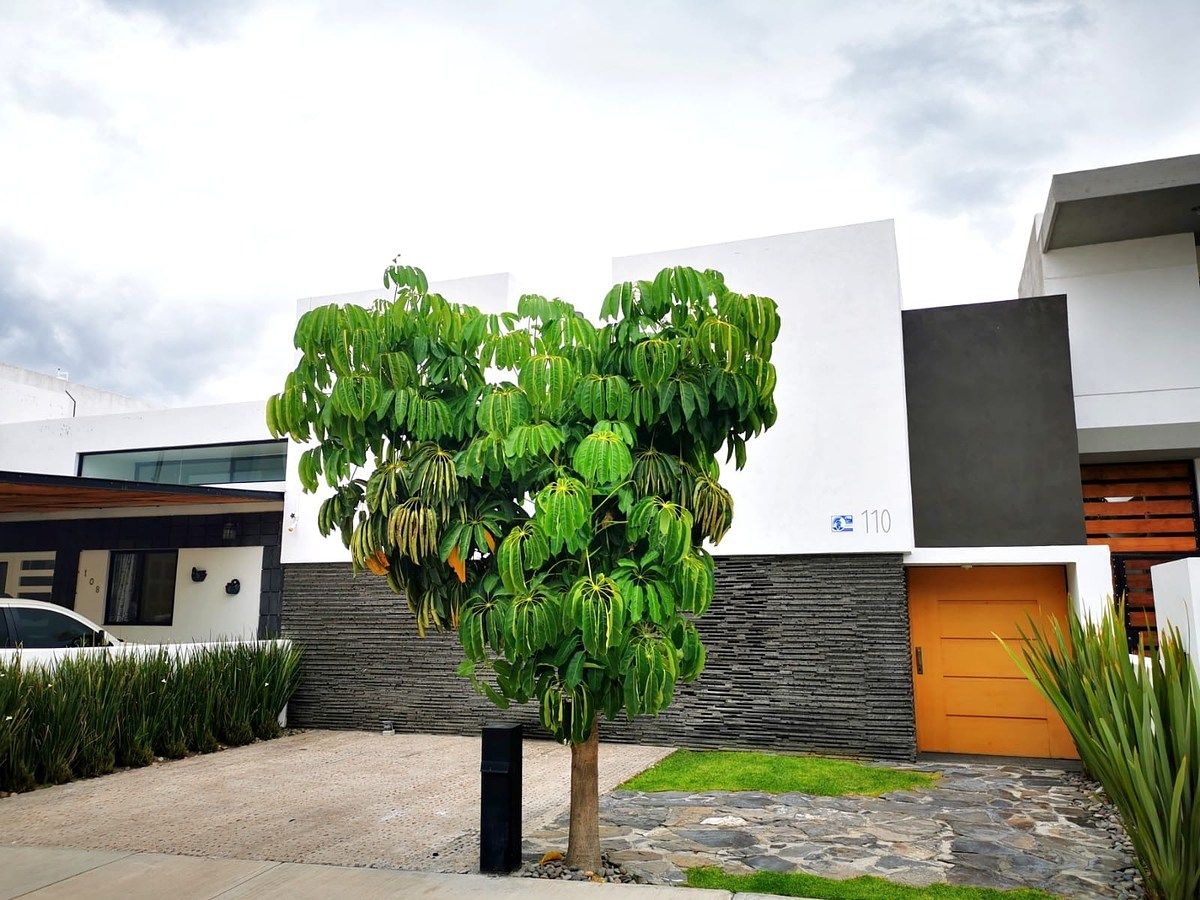 Casa para Alugar: Lomas de Juriquilla, foto 1 de 15