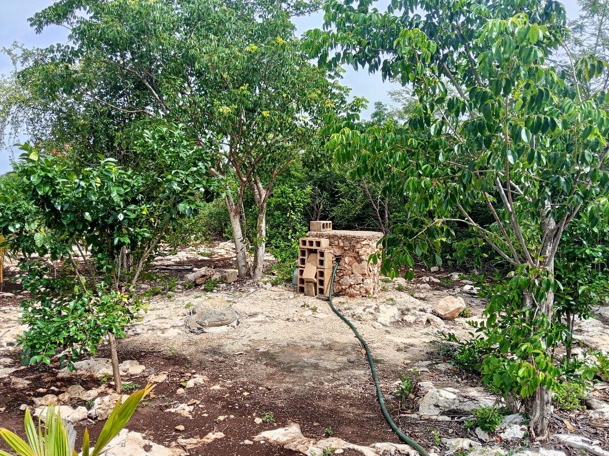 Land with cabin near Valladolid Yuc - foto 5