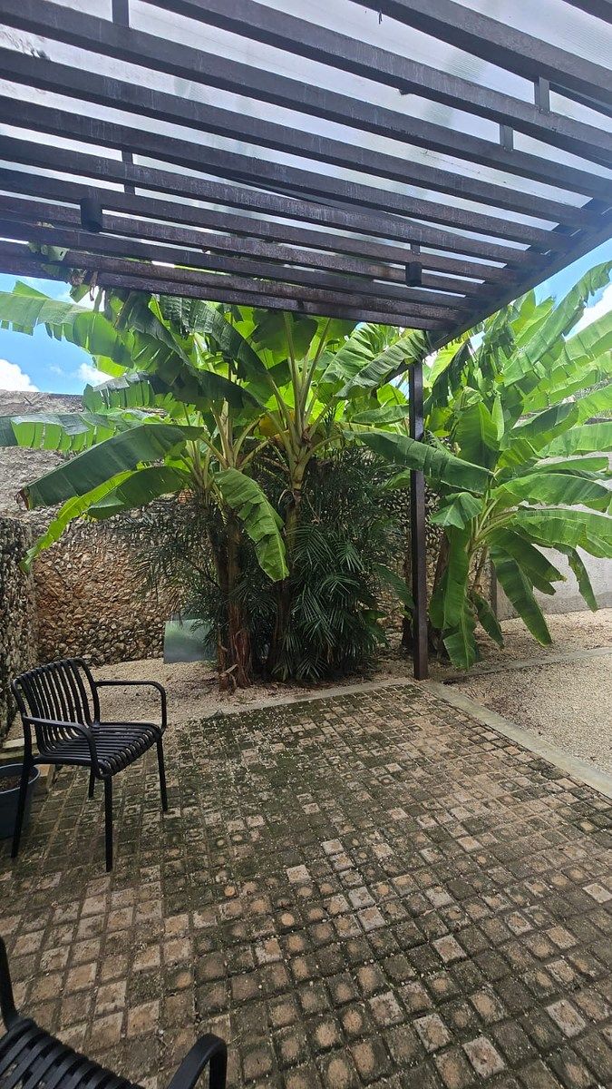Casa en Mérida Centro, Mérida, foto 38 de 41