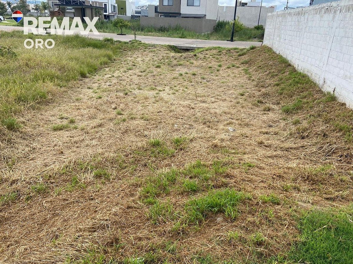 Vista parte de atrás, foto 6 de 13