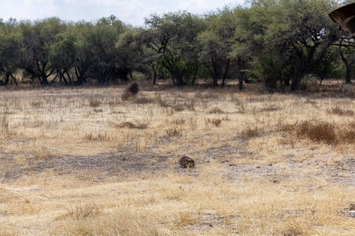 One hectare land in Banda de Arriba, San Miguel de Allende - foto 2