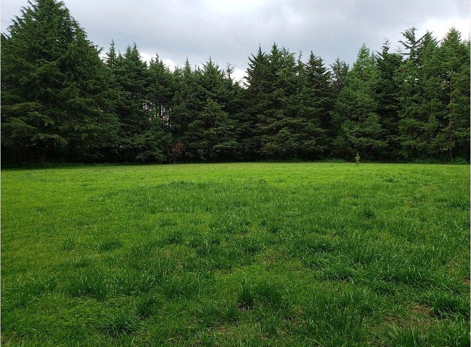 Jajalpa, Ocoyoacac, land for sale - foto 1