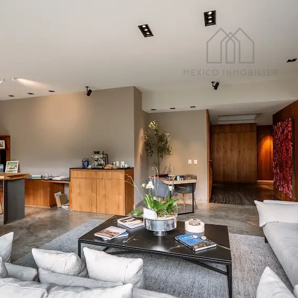Apartment in Santa Fe Cuajimalpa, Cuajimalpa de Morelos, photo 3 of 32