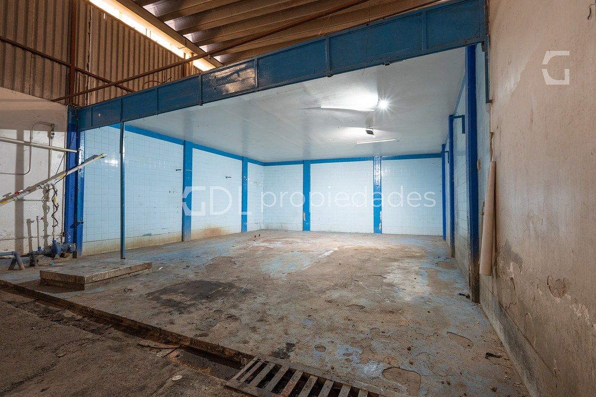 FELIPE ÁNGELES BODEGA COMERCIAL EN VENTA - foto 4