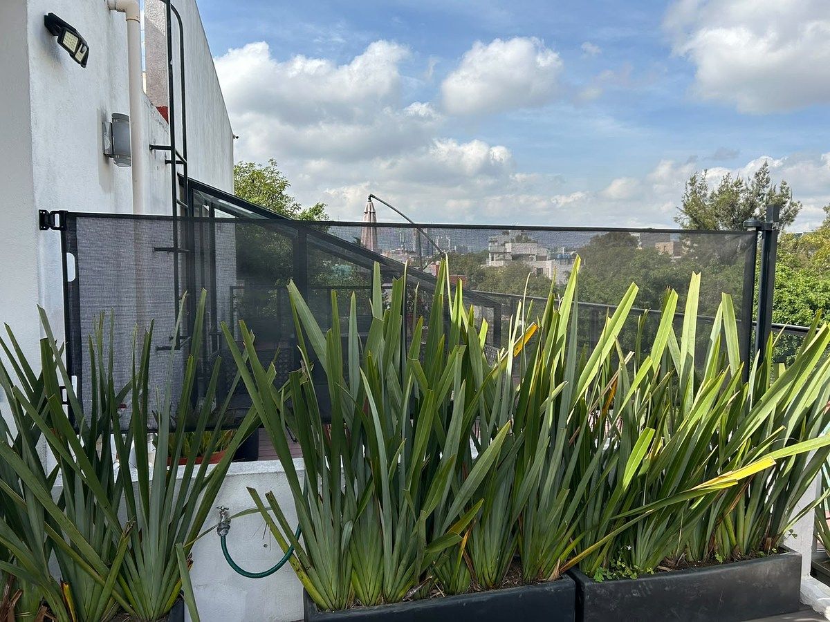 Apartamento em Hipódromo, Cuauhtémoc, foto 5 de 19