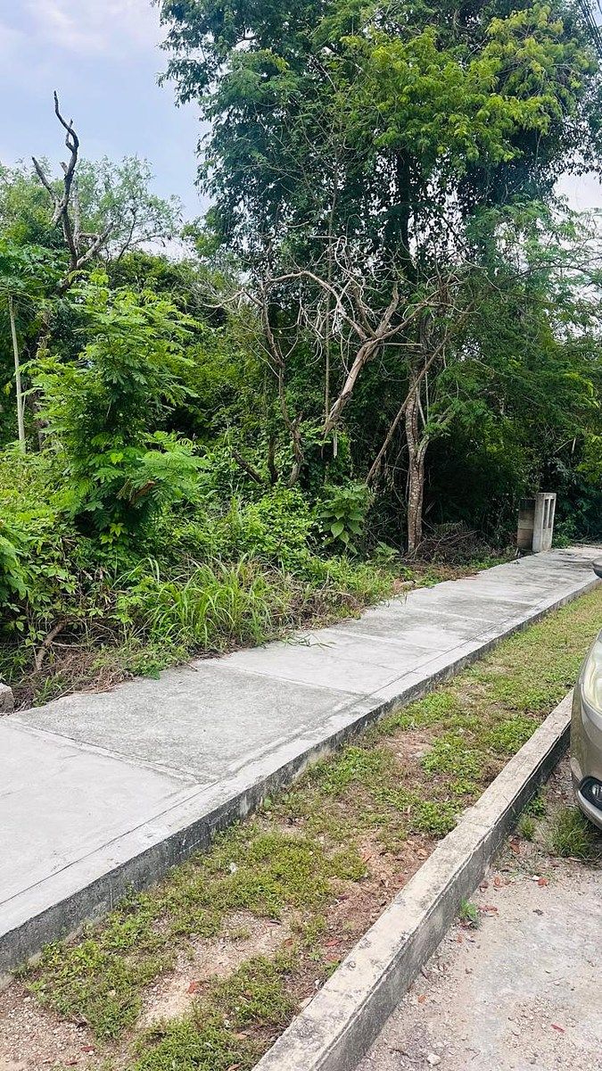 Terreno en Venta en Residencial Campestre Viladiu, Cholul, Mérida — 1,009 m² - foto 3