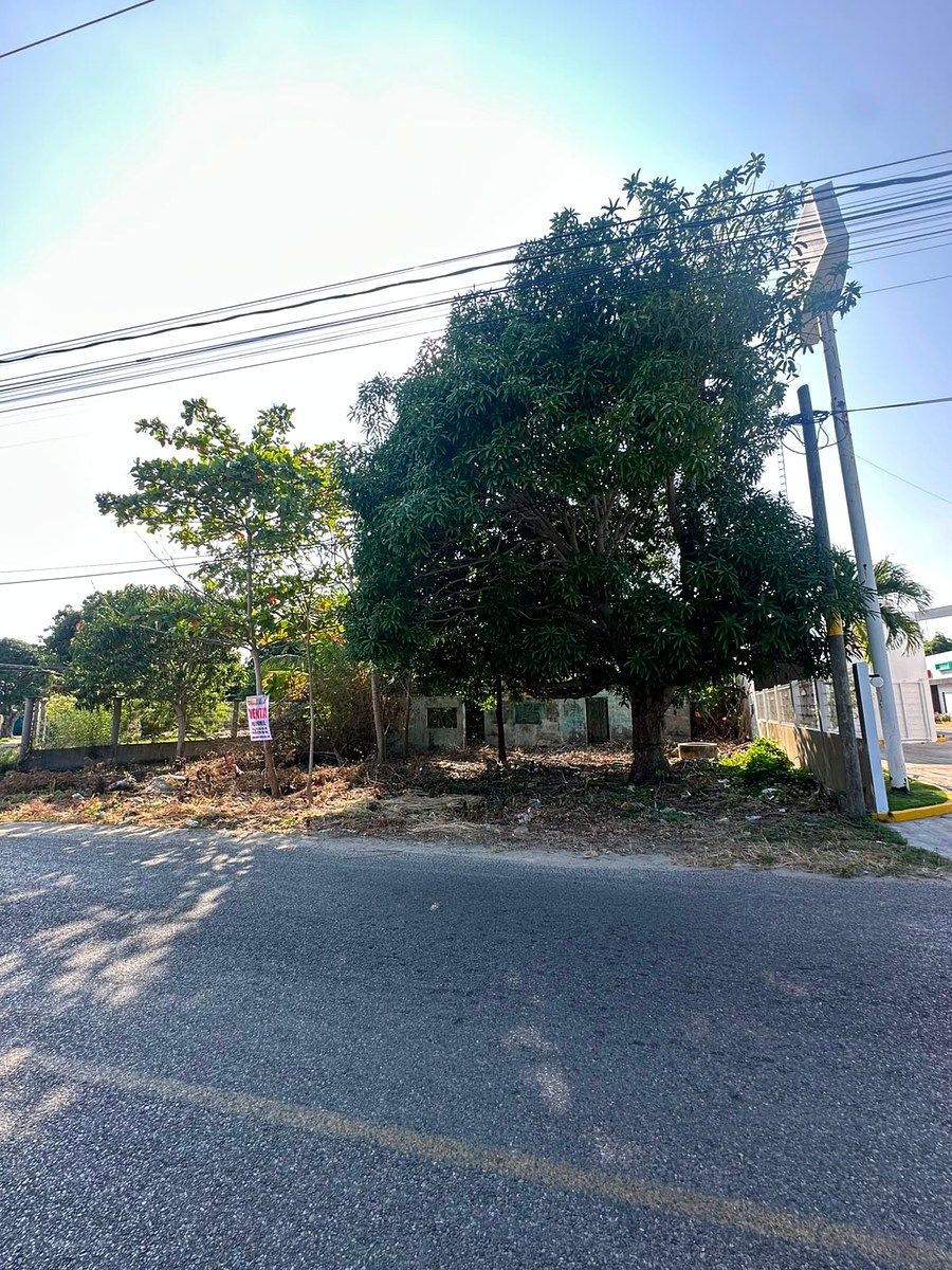 TERRENO EN VENTA EN LAS FLORES 2DA. SECCIÓN - foto 2