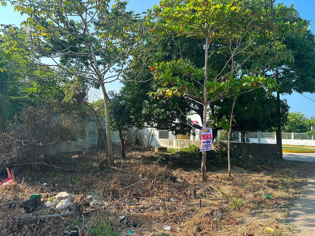 Terreno en Las Flores 2a Secc, Paraíso, foto 3 de 3