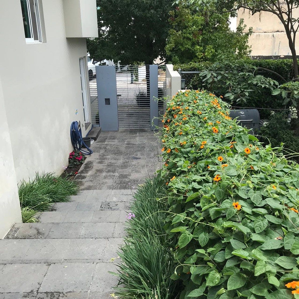 Casa em condomínio fechado em Jardín Real, Zapopan, foto 7 de 29
