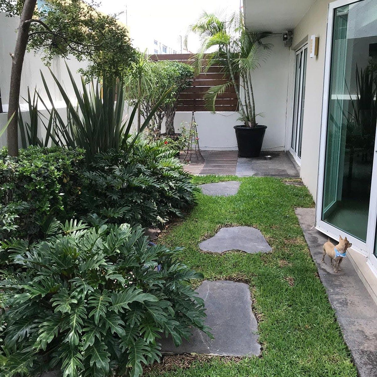 Casa em condomínio fechado em Jardín Real, Zapopan, foto 6 de 29