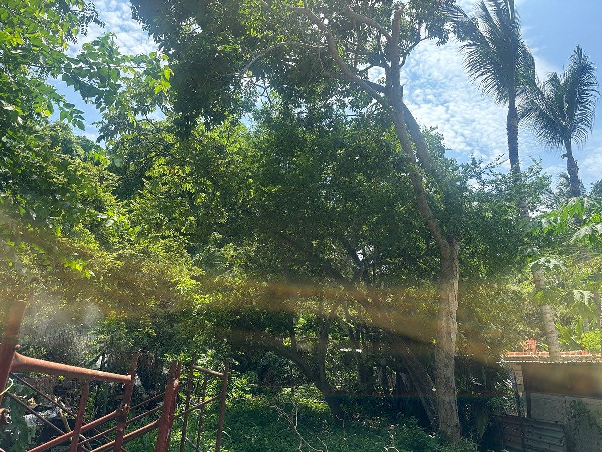 Lot in Sayulita, Bahía de Banderas, photo 2 of 7