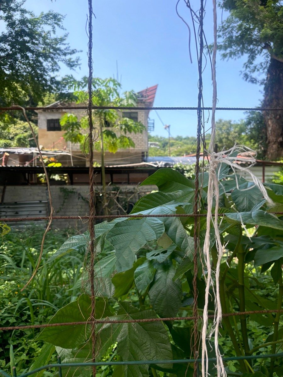 Lot in Sayulita, Bahía de Banderas, photo 6 of 7