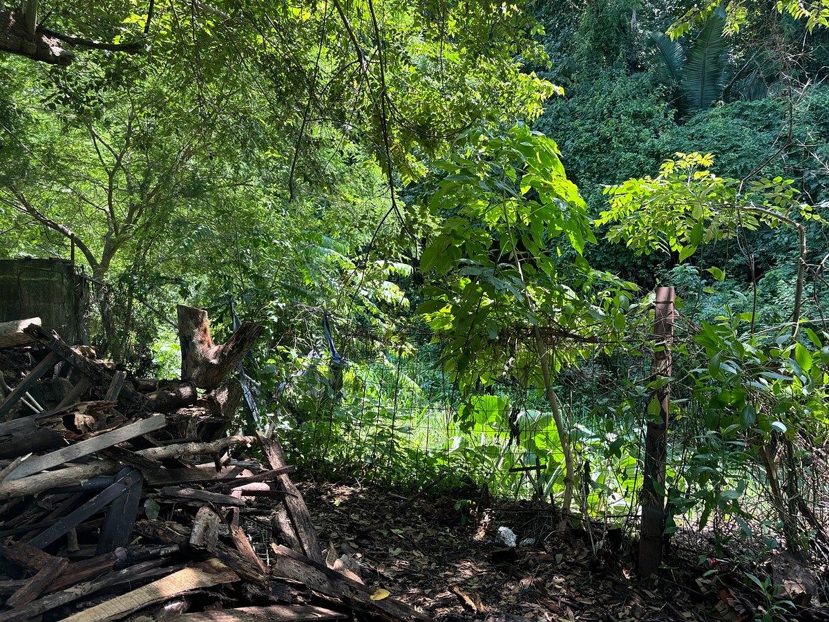 Lot in Sayulita, Bahía de Banderas, photo 7 of 7