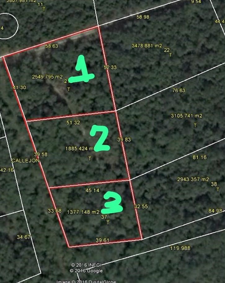 SE VENDEN TERRENOS A 800 MTS DE LA CARRETERA PROGRESO - foto 3