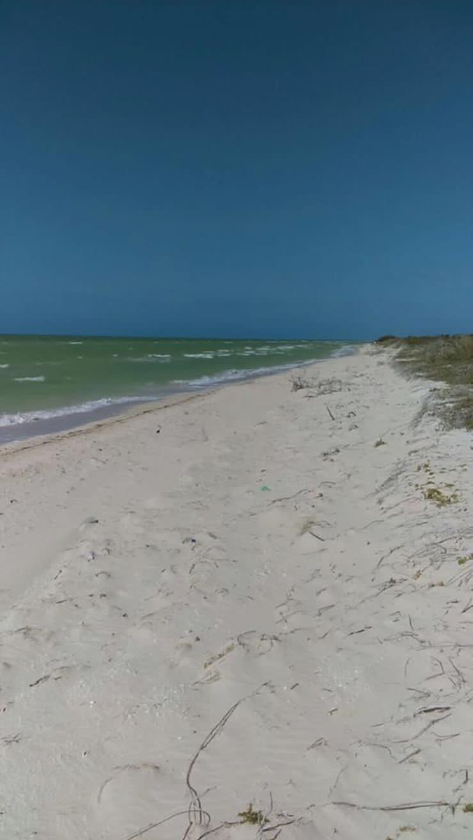 VENTA TERRENO EN LA PLAYA DE SISAL YUCATAN FRENTE AL MAR - foto 1
