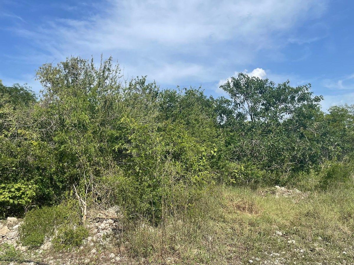 VENTA!!! TERRENO EN PARAÍSO YUCATÁN - foto 1